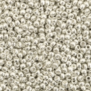 Miyuki 11/0 Rocailles Galvanized silver 11-1051