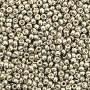 Miyuki 11/0 Rocailles Duracoat galvanized light pewter silver 11-4221