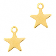 Anhänger aus Stainless Steel - Rostfreiem Stahl Stern Gold
