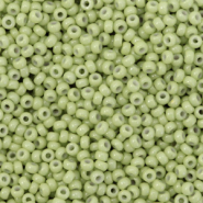 Miyuki 11/0 Rocailles Duracoat opaque fennel green 11-4473