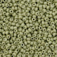 Miyuki 11/0 Rocailles Duracoat opaque cactus green 11-4474