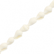 Perle Muschel Wellhornschnecke White