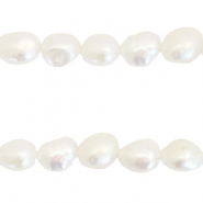 BQ Süsswasser Perlen Nugget rund 8-9mm Naturel white