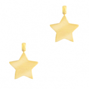Anh&auml;nger aus Stainless Steel - Rostfreiem Stahl Stern Gold