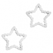 Anhänger aus Stainless Steel - Rostfreiem Stahl Zwischenstück Star Silber