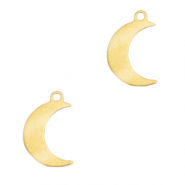 Anhänger aus Stainless Steel - Rostfreiem Stahl Mond Gold