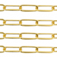 Zubehör aus Stainless Steel - Rostfreiem Stahl Gliederkette Gold
