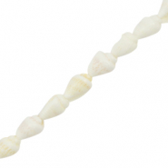 Perle Muschel Wellhornschnecke White (Naturliche Farbe Muschel)