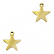 Anhänger aus Stainless Steel - Rostfreiem Stahl Star Gold