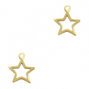 Anhänger aus Stainless Steel - Rostfreiem Stahl Star Gold