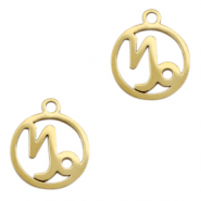 Anhänger aus Stainless Steel - Rostfreiem Stahl Sternzeichen Steinbock Gold