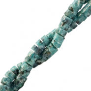 Naturstein Perlen Dalmatiner Jaspis Disc 4mm Turquoise green
