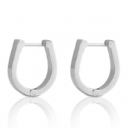 Stainless Steel - Rostfrei Stahl Ohrringe Horseshoe Silber