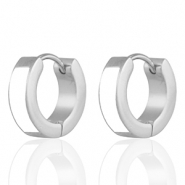 Stainless Steel - Rostfrei Stahl Ohrringe White-silver
