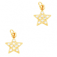 Anh&auml;nger aus Stainless Steel - Rostfreiem Stahl Star Gold