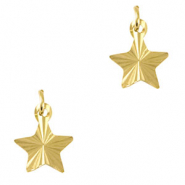 Anh&auml;nger aus Stainless Steel - Rostfreiem Stahl Star Gold
