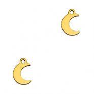 Anh&auml;nger aus Stainless Steel - Rostfreiem Stahl Moon Gold