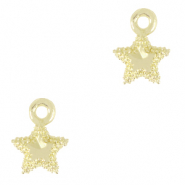 TQ Metall Brass Anh&auml;nger Star Gold
