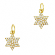 TQ Metall Brass Anh&auml;nger Zirconia Star Gold