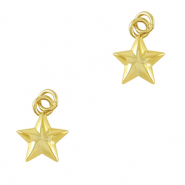 TQ Metall Brass Anh&auml;nger Star Gold