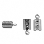 Zubehör aus Stainless Steel (rostfreiem Stahl) Klemmen Silver