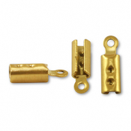Zubehör aus Stainless Steel (rostfreiem Stahl) Klemmen Gold