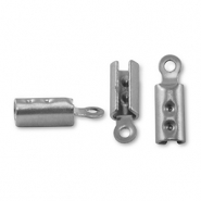 Zubehör aus Stainless Steel (rostfreiem Stahl) Klemmen Silver