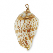 Anh&auml;nger Muschel Special Light brown-gold