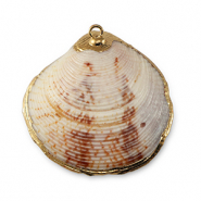 Anh&auml;nger Muschel Special Scallop Mixed brown-gold