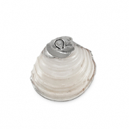 Anh&auml;nger Muschel Special Mussel Creamy white-silver