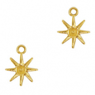 Anh&auml;nger aus Stainless Steel - Rostfreiem Stahl Star Gold