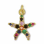 TQ Metall Brass Anh&auml;nger Starfish Gold-multicolor