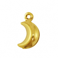 Anh&auml;nger aus Stainless Steel - Rostfreiem Stahl Moon Gold