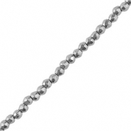 Perlen aus H&auml;matit Round 2mm Facett geschliffen Silver