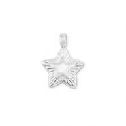 Anh&auml;nger aus Stainless Steel - Rostfreiem Stahl Star Silver