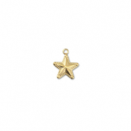 Anh&auml;nger aus Stainless Steel - Rostfreiem Star Gold