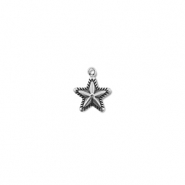 Anh&auml;nger aus Stainless Steel - Rostfreiem Star Silver