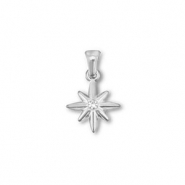 Anhänger aus Stainless Steel - Rostfreiem Stahl Star Silver