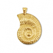 Anhänger aus Stainless Steel - Rostfreiem Stahl Shell Gold