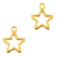 Anh&auml;nger Metall DQ Stern Gold (Nickelfrei)