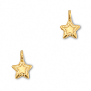 Anh&auml;nger Metall DQ Star Gold (Nickelfrei)