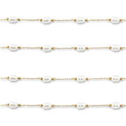 Zubeh&ouml;r aus Stainless Steel - Rostfreiem Stahl Gliederkette with Imitation Pearls Oval Gold-white