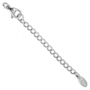 Zubehör aus Stainless Steel - Rostfreiem Stahl Verlängerungsketten Set Oval mit Karabinerverschluss Silver