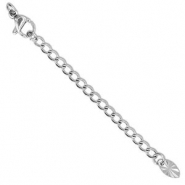 Zubehör aus Stainless Steel - Rostfreiem Stahl Verlängerungsketten Set Oval mit Karabinerverschluss Silver