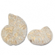 Perlen Griechische Keramik DQ Shell White-light brown-gold