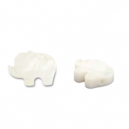 Perle Muschel Elephant White (Naturliche Farbe Muschel)