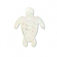 Perle Muschel Turtle White (Naturliche Farbe Muschel)