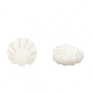 Perle Muschel Scallop White (Naturliche Farbe Muschel)