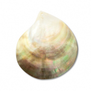 Anh&auml;nger Muschel Pearl Oyster Shell White (Naturliche Farbe Muschel)-light brown-dark brown