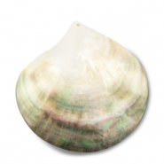 Anh&auml;nger Muschel Pearl Oyster Shell White (Naturliche Farbe Muschel)-light brown-dark brown